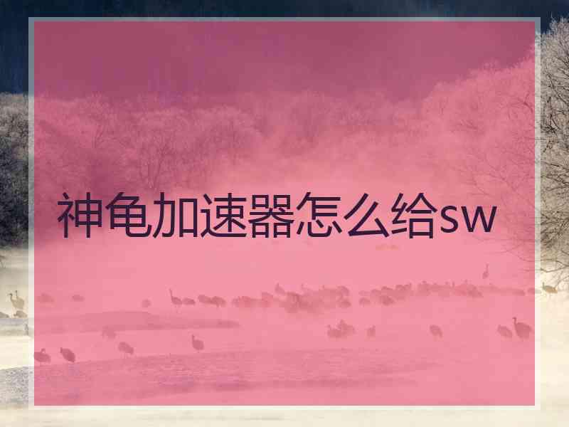 神龟加速器怎么给sw