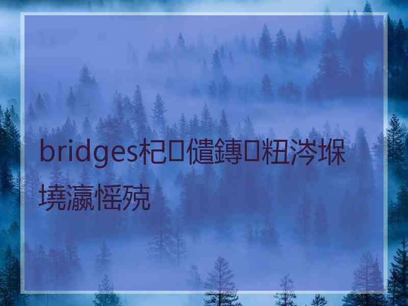 bridges杞儙鏄粈涔堢墝瀛愮殑