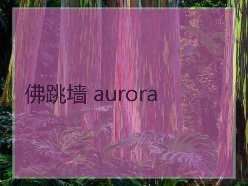 佛跳墙 aurora