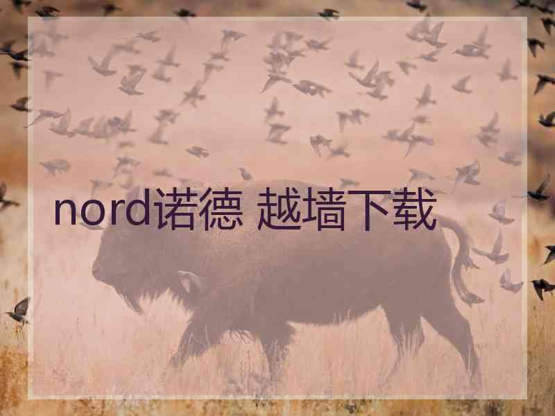 nord诺德 越墙下载