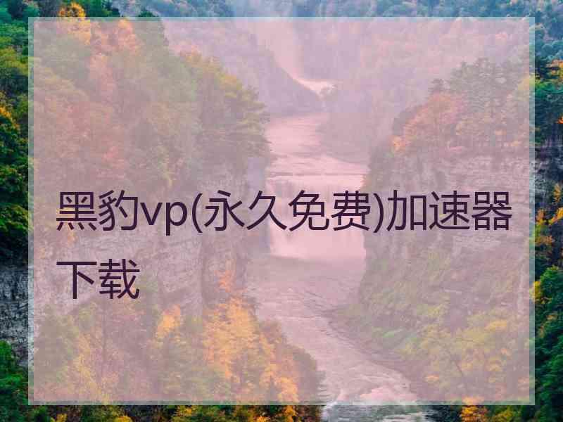 黑豹vp(永久免费)加速器下载