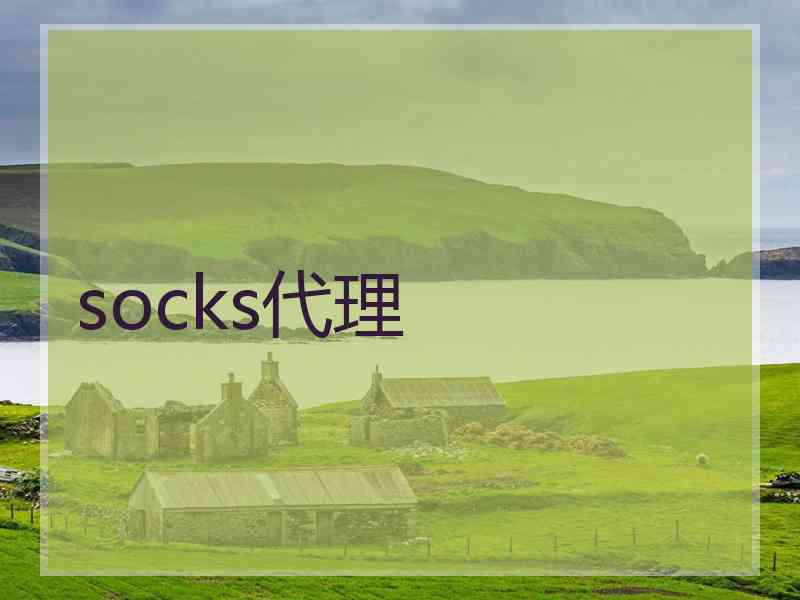 socks代理