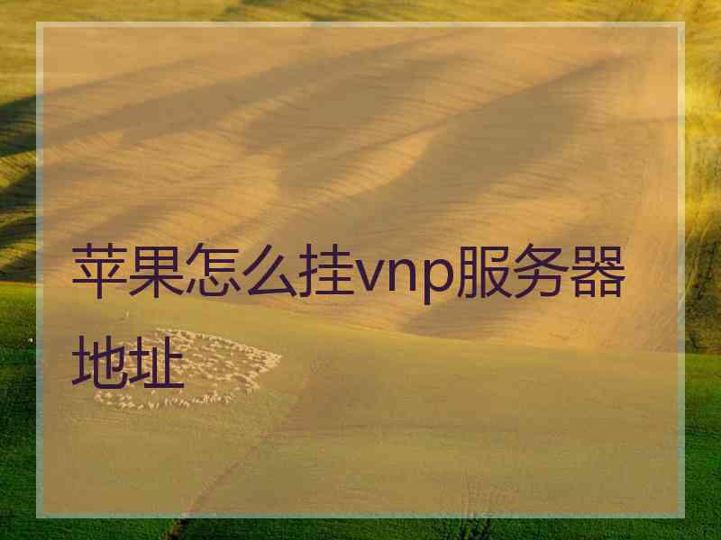 苹果怎么挂vnp服务器地址