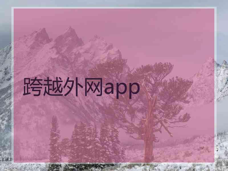 跨越外网app