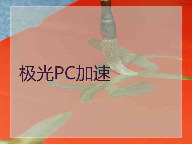 极光PC加速