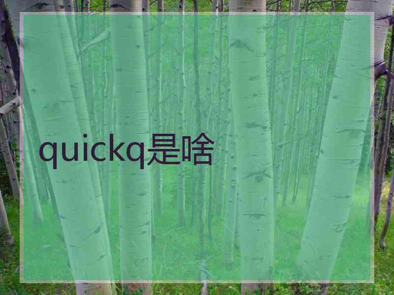 quickq是啥