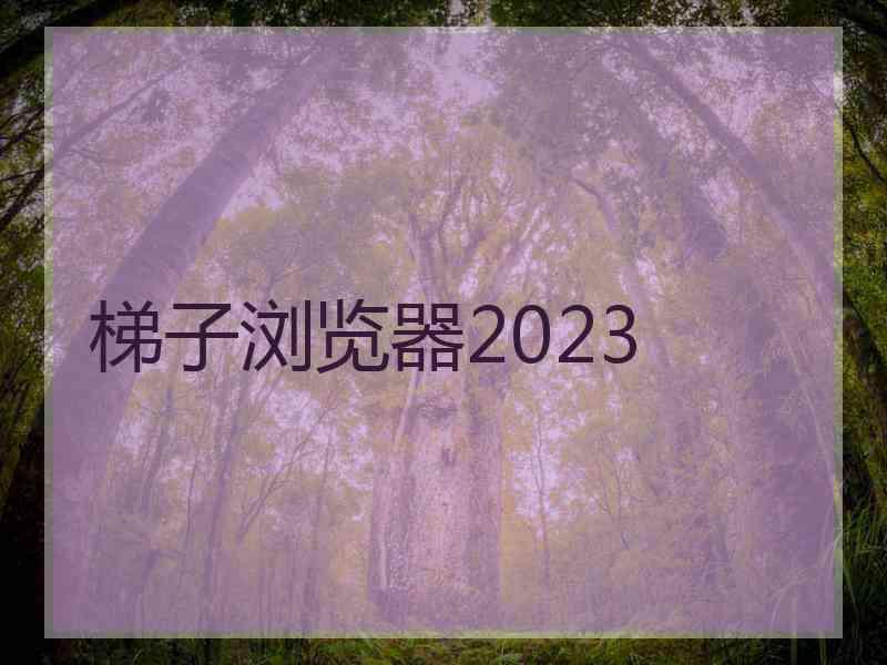 梯子浏览器2023