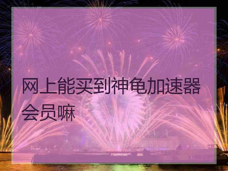 网上能买到神龟加速器会员嘛