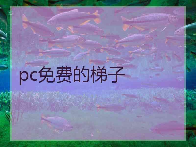 pc免费的梯子