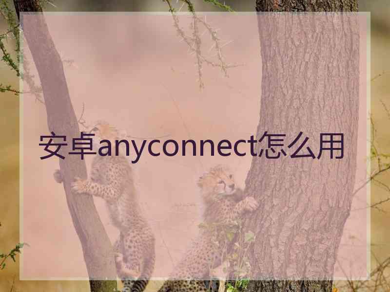 安卓anyconnect怎么用