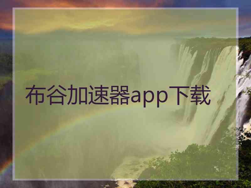 布谷加速器app下载