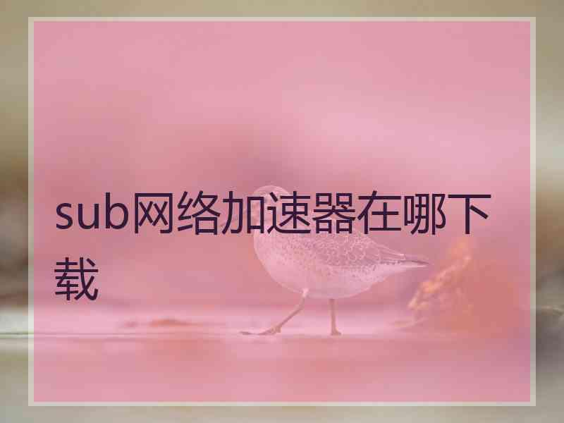 sub网络加速器在哪下载