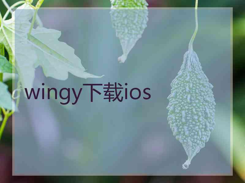 wingy下载ios