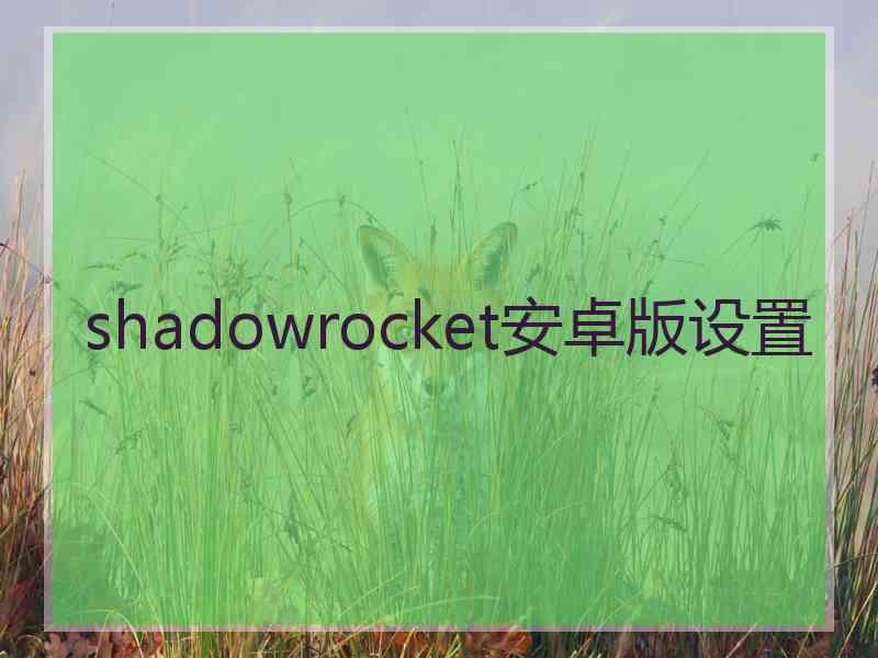 shadowrocket安卓版设置