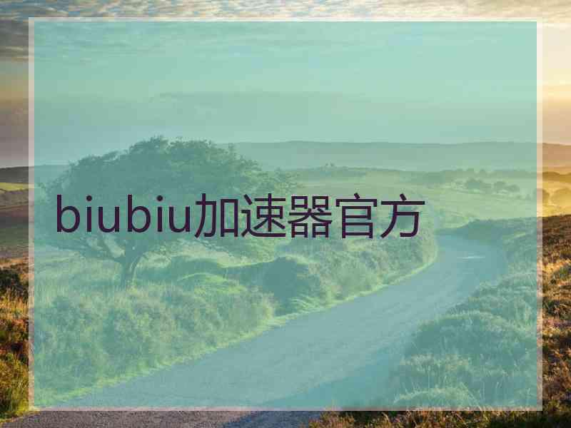 biubiu加速器官方