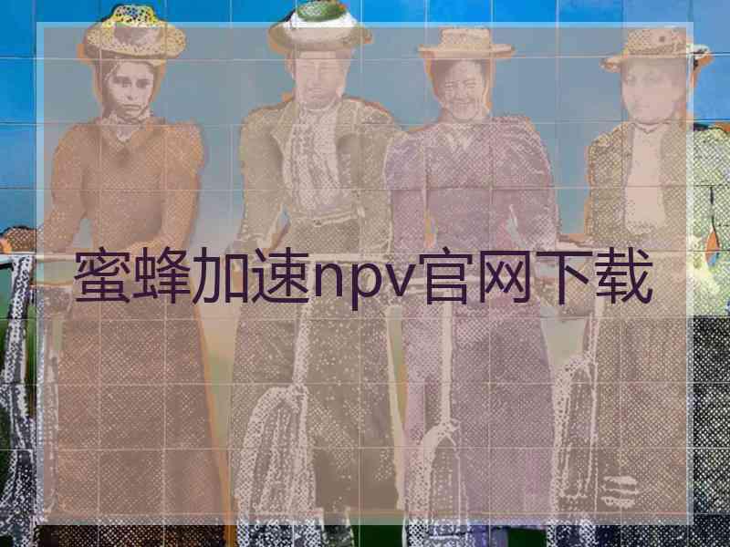 蜜蜂加速npv官网下载