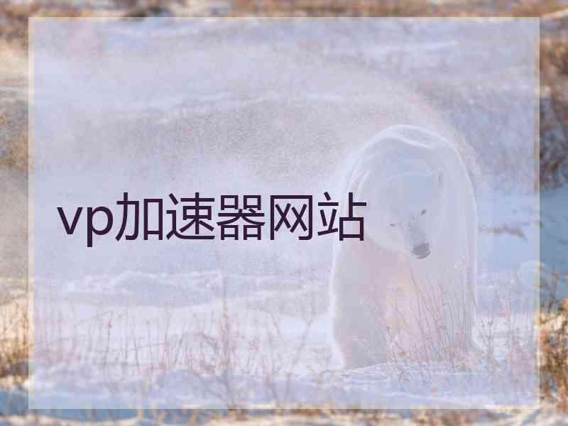 vp加速器网站