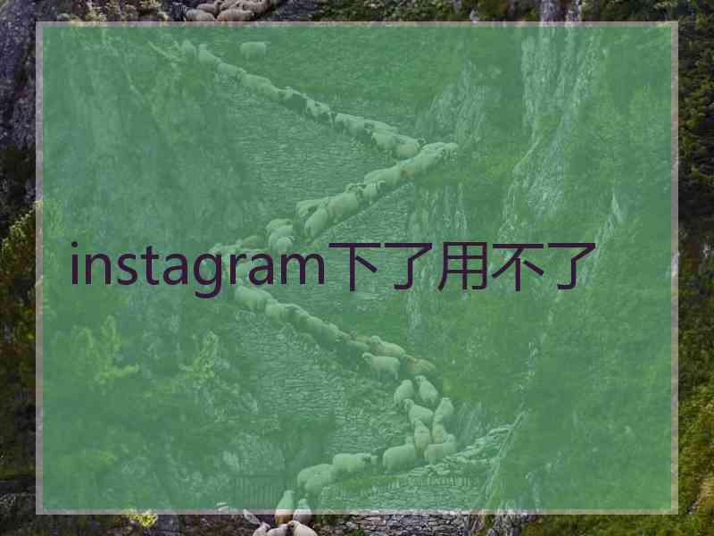 instagram下了用不了