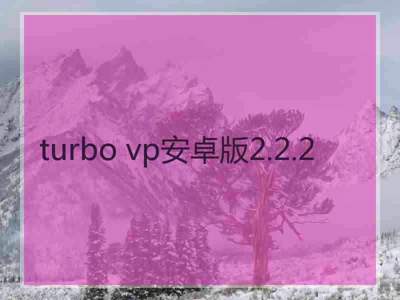 turbo vp安卓版2.2.2