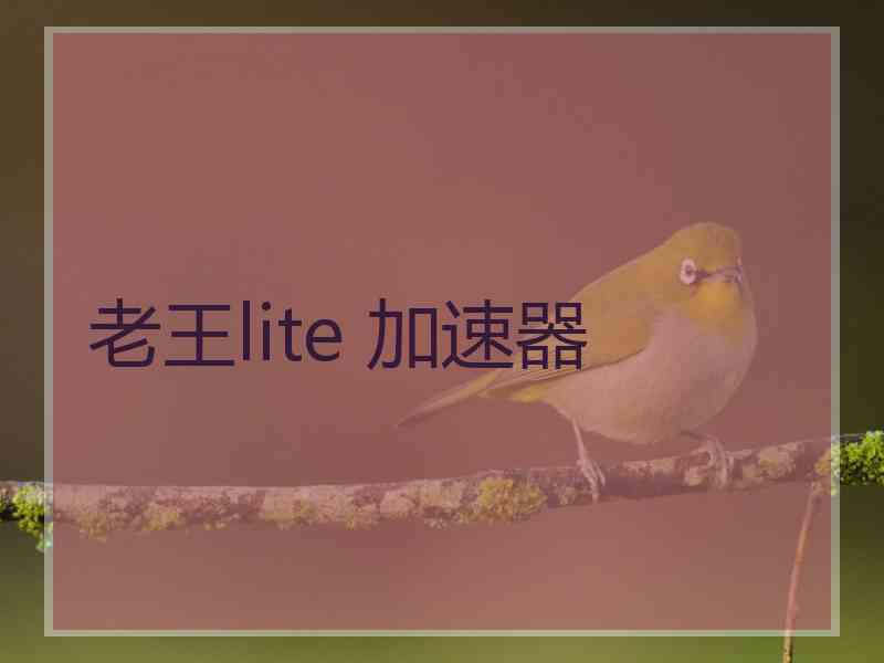 老王lite 加速器