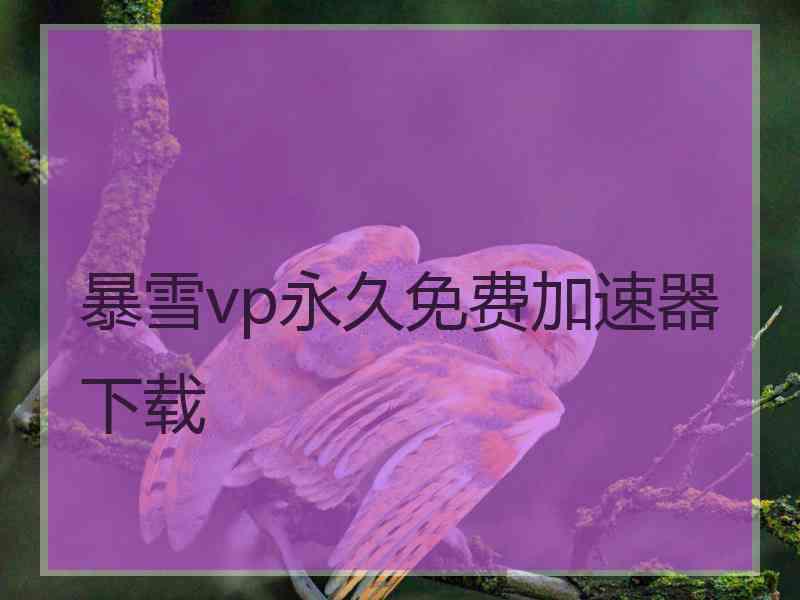 暴雪vp永久免费加速器下载