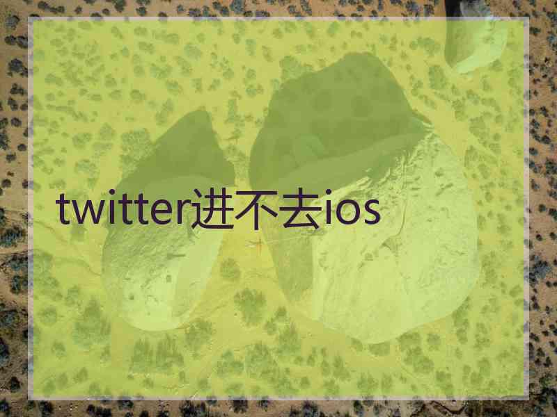 twitter进不去ios