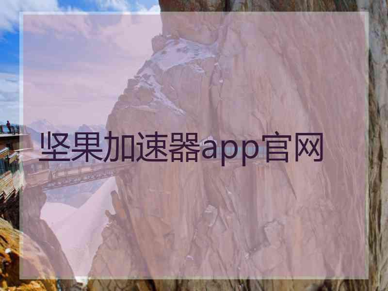 坚果加速器app官网