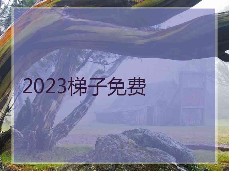 2023梯子免费