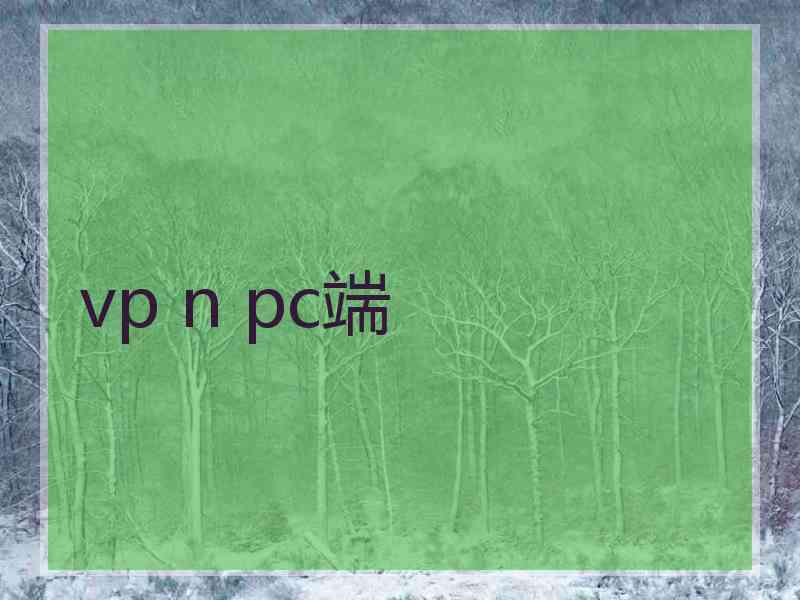 vp n pc端