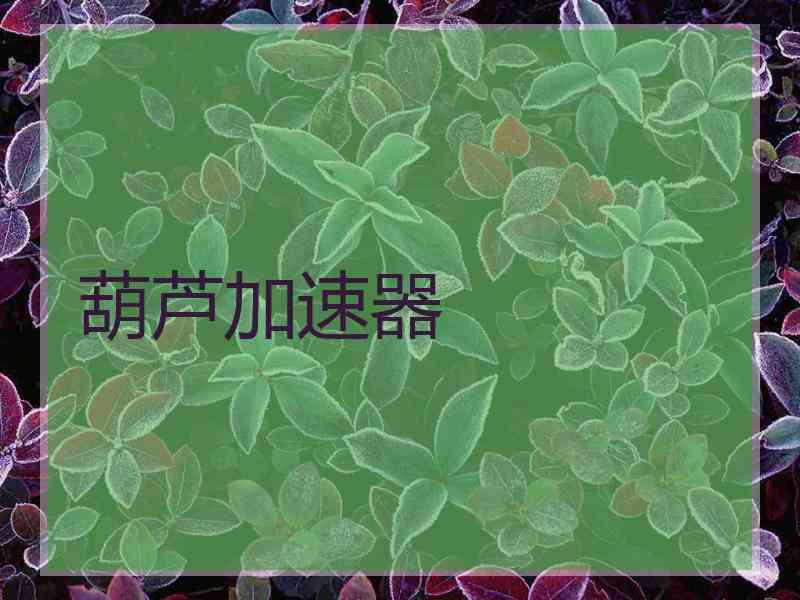 葫芦加速器