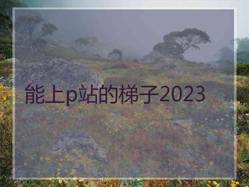 能上p站的梯子2023