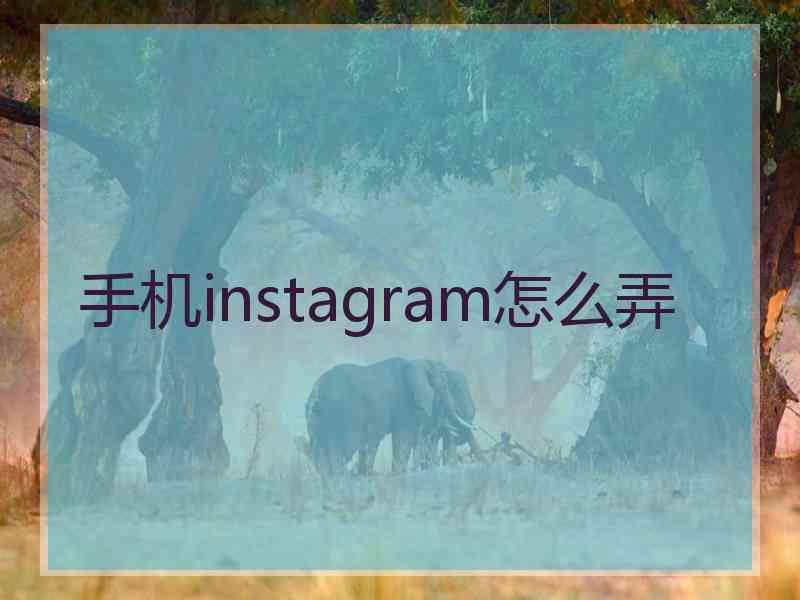 手机instagram怎么弄