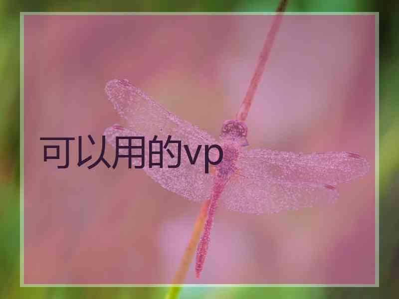 可以用的vp