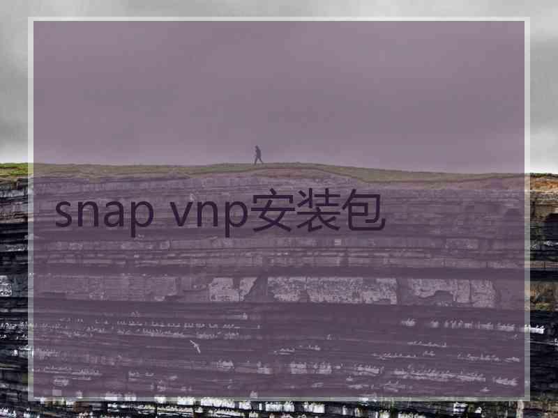 snap vnp安装包