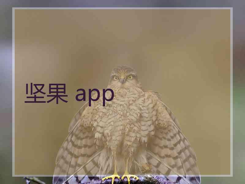 坚果 app