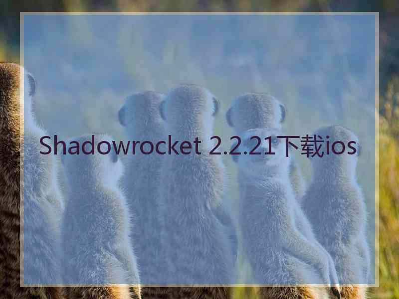 Shadowrocket 2.2.21下载ios