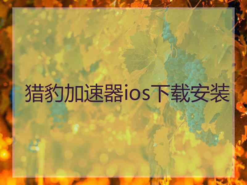 猎豹加速器ios下载安装