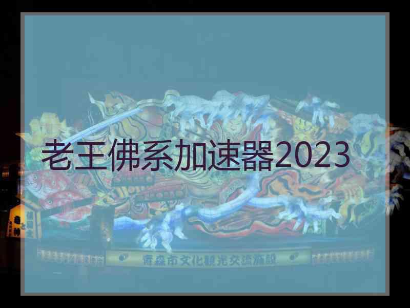 老王佛系加速器2023