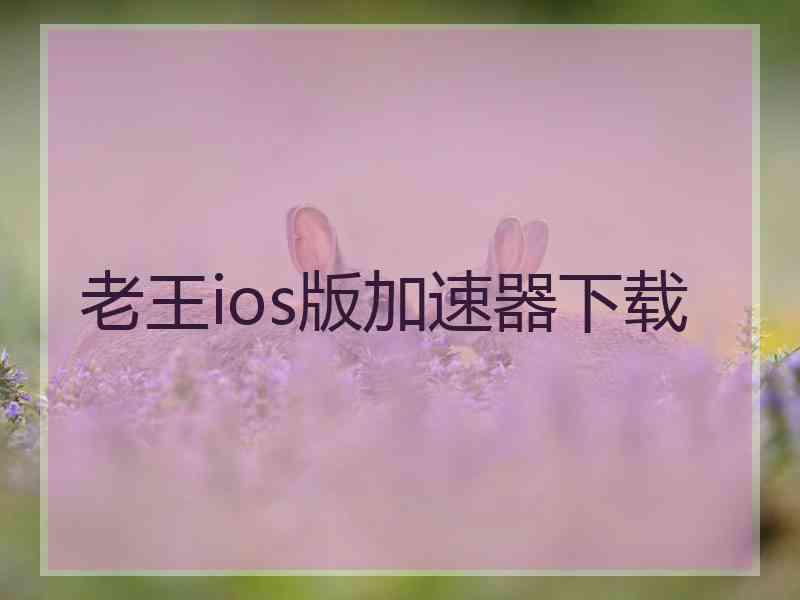 老王ios版加速器下载