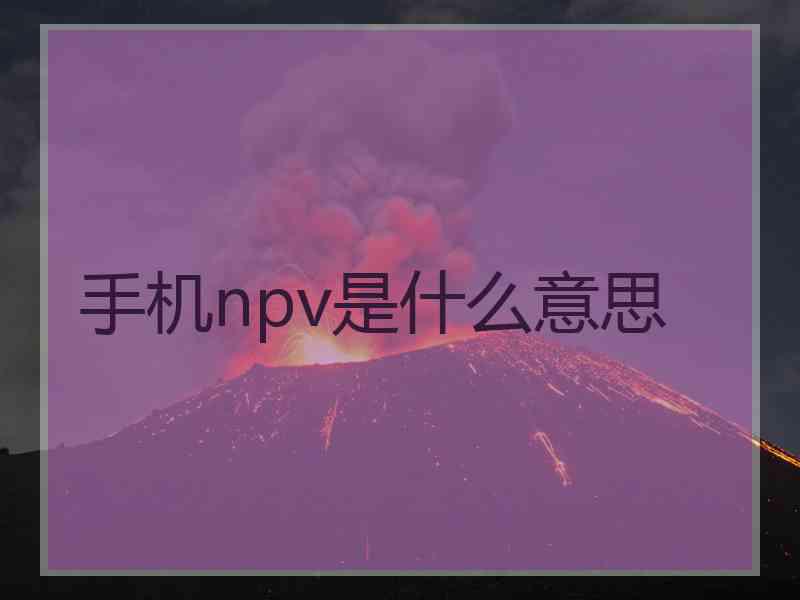 手机npv是什么意思