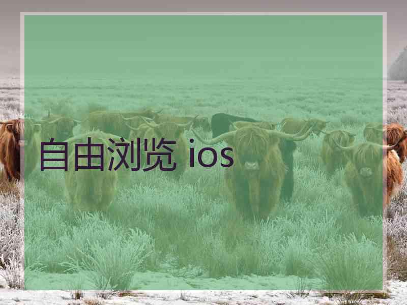 自由浏览 ios