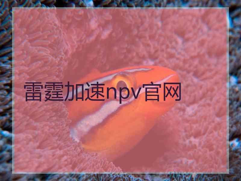 雷霆加速npv官网