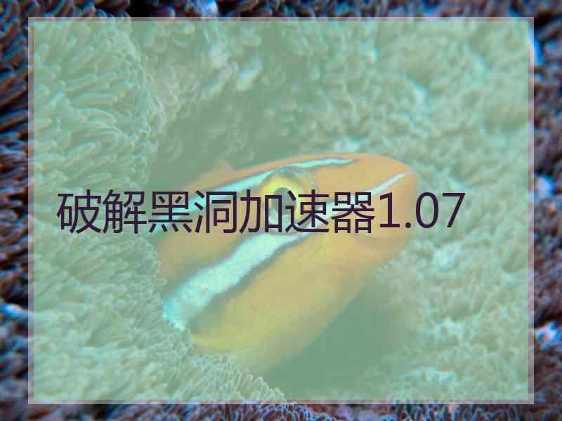 破解黑洞加速器1.07