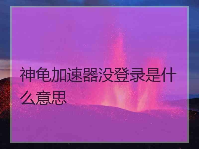 神龟加速器没登录是什么意思