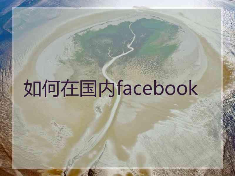 如何在国内facebook