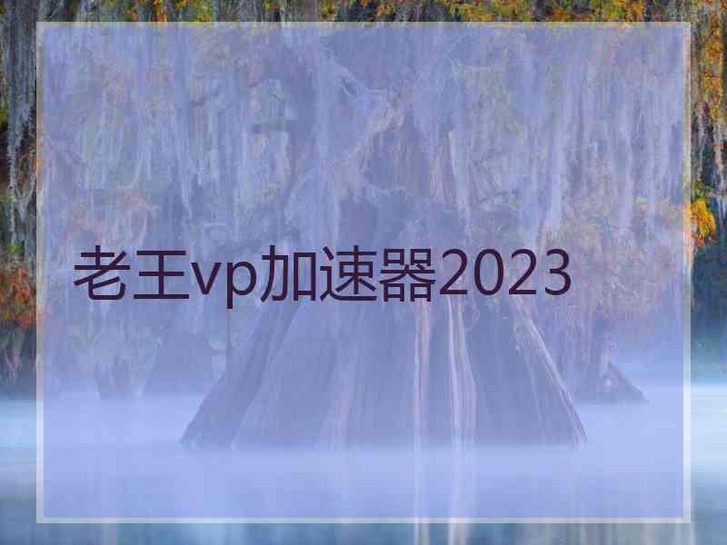 老王vp加速器2023