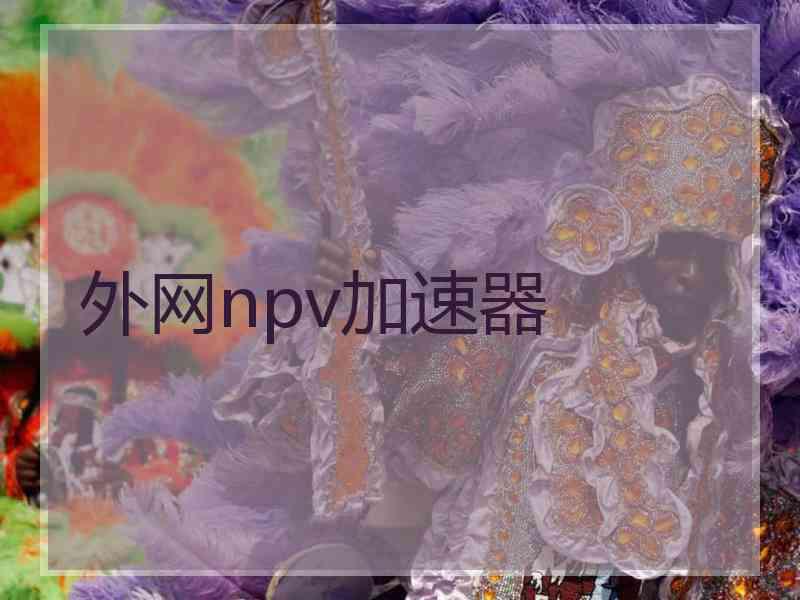 外网npv加速器