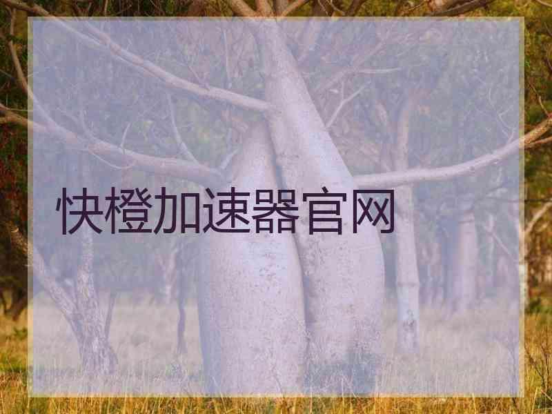 快橙加速器官网