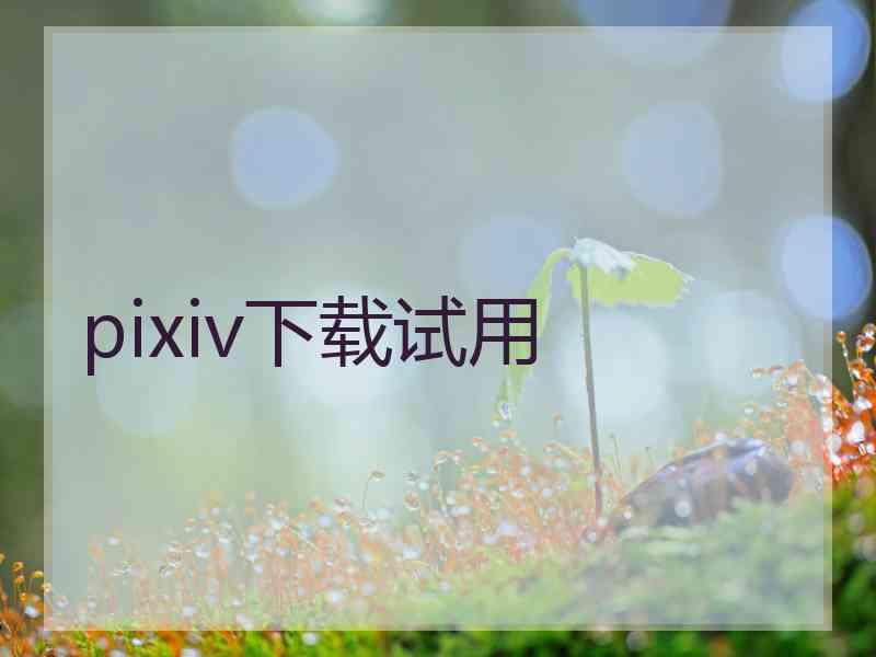 pixiv下载试用