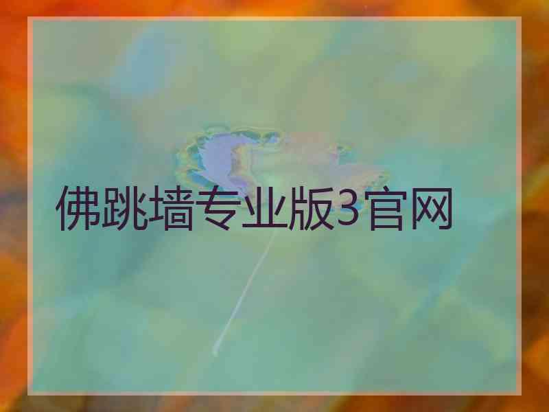 佛跳墙专业版3官网